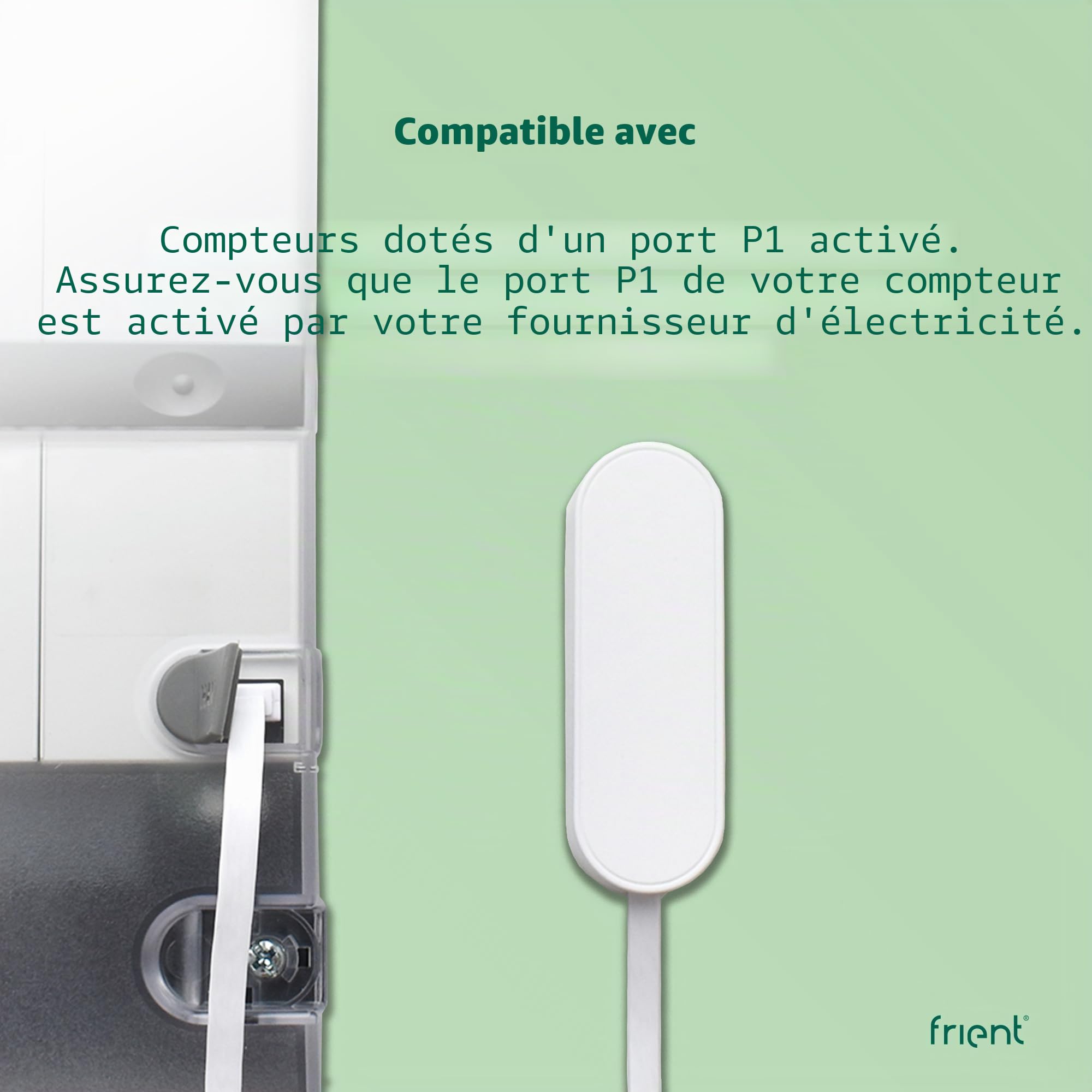 frient Interface compteur électricité 2 P1 Zigbee suivi conso