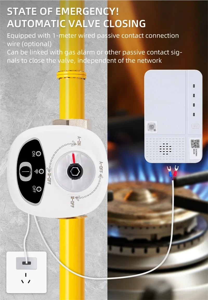 Mumubiz Tuya Smart Home vanne eau gaz WiFi DN15 vocale