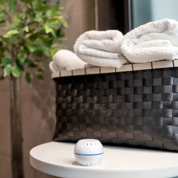 Shelly H&T capteur température humidité WiFi blanc