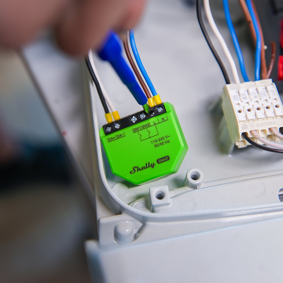 Shelly Gen3 DALI Dimmer variateur lumière DALI contrôle luminosité
