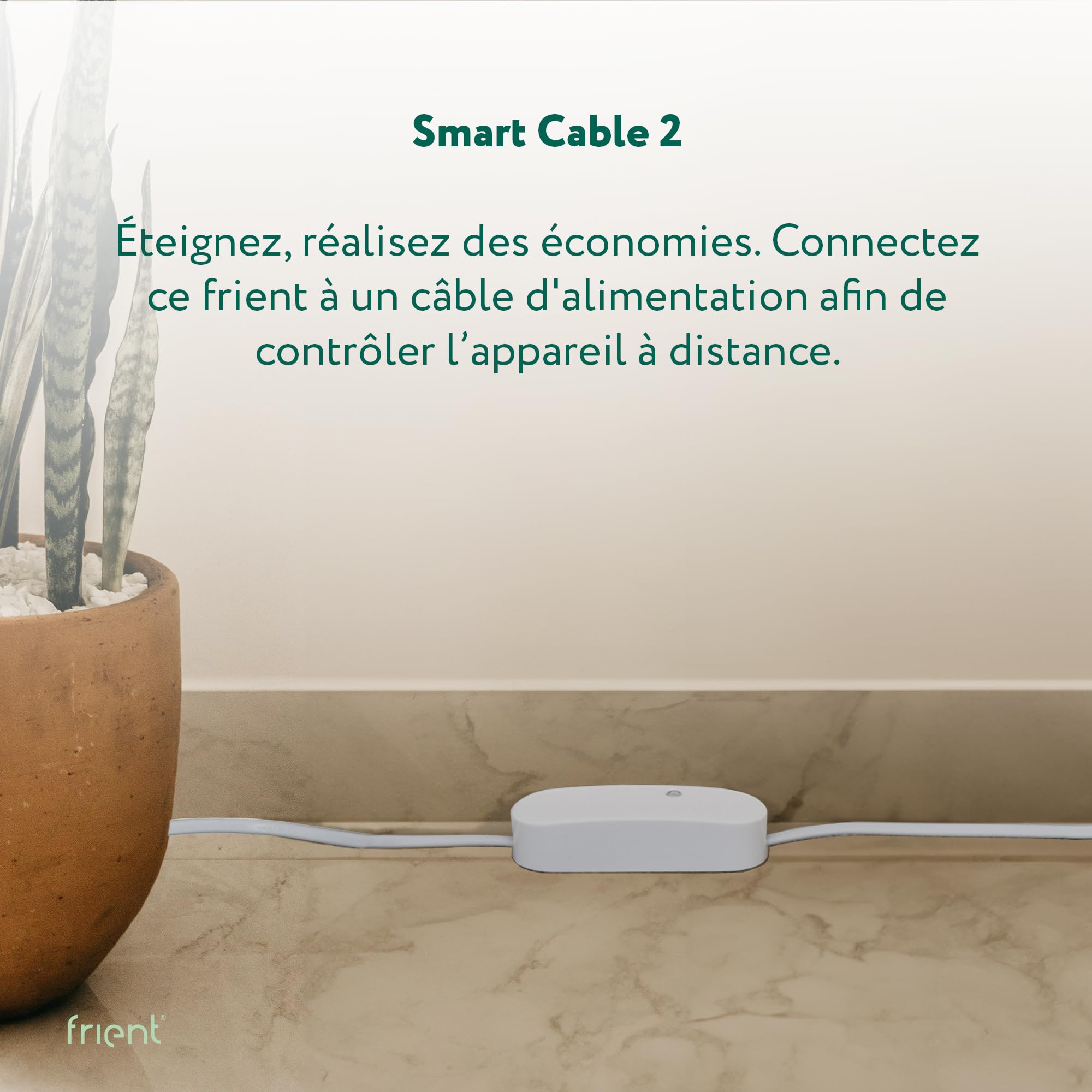 frient Smart Cable 2 interrupteur Zigbee suivi conso