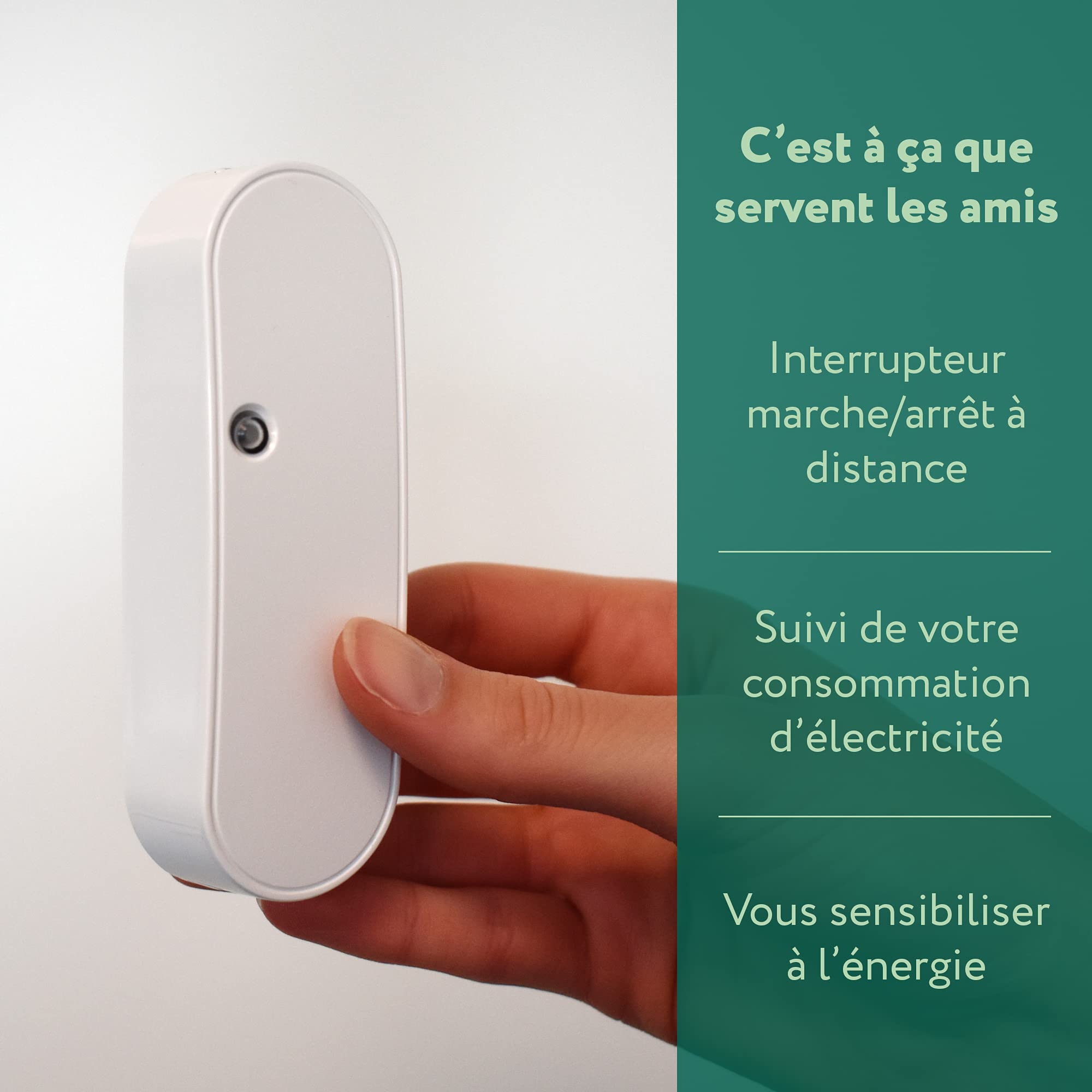 frient Smart Cable 2 interrupteur Zigbee suivi conso