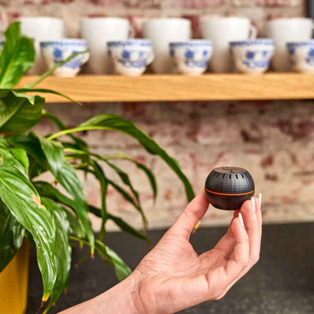 Shelly H&T capteur température humidité Wi-Fi Noir