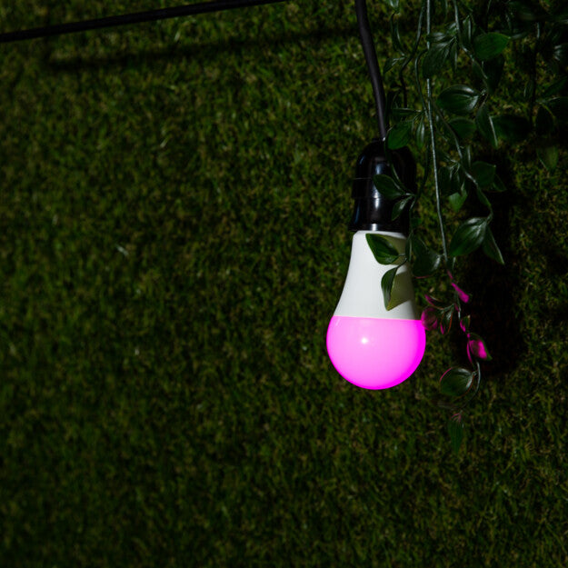 Shelly Duo RGBW ampoule connectée E27 couleur