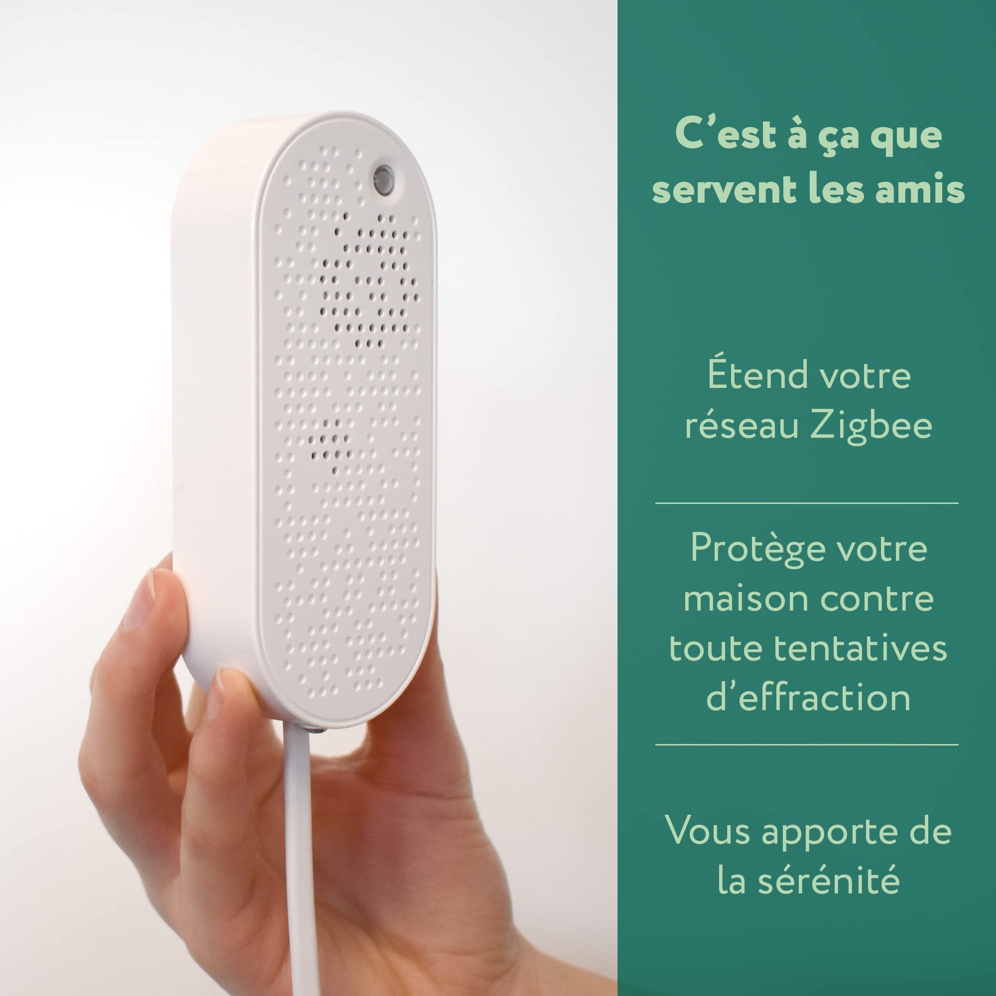 frient Sirène Intelligente Zigbee 90 dB batterie secours