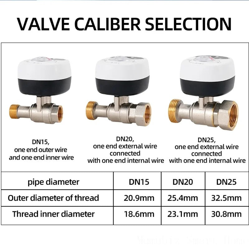 Mumubiz Tuya Smart Home vanne eau gaz WiFi DN15 vocale