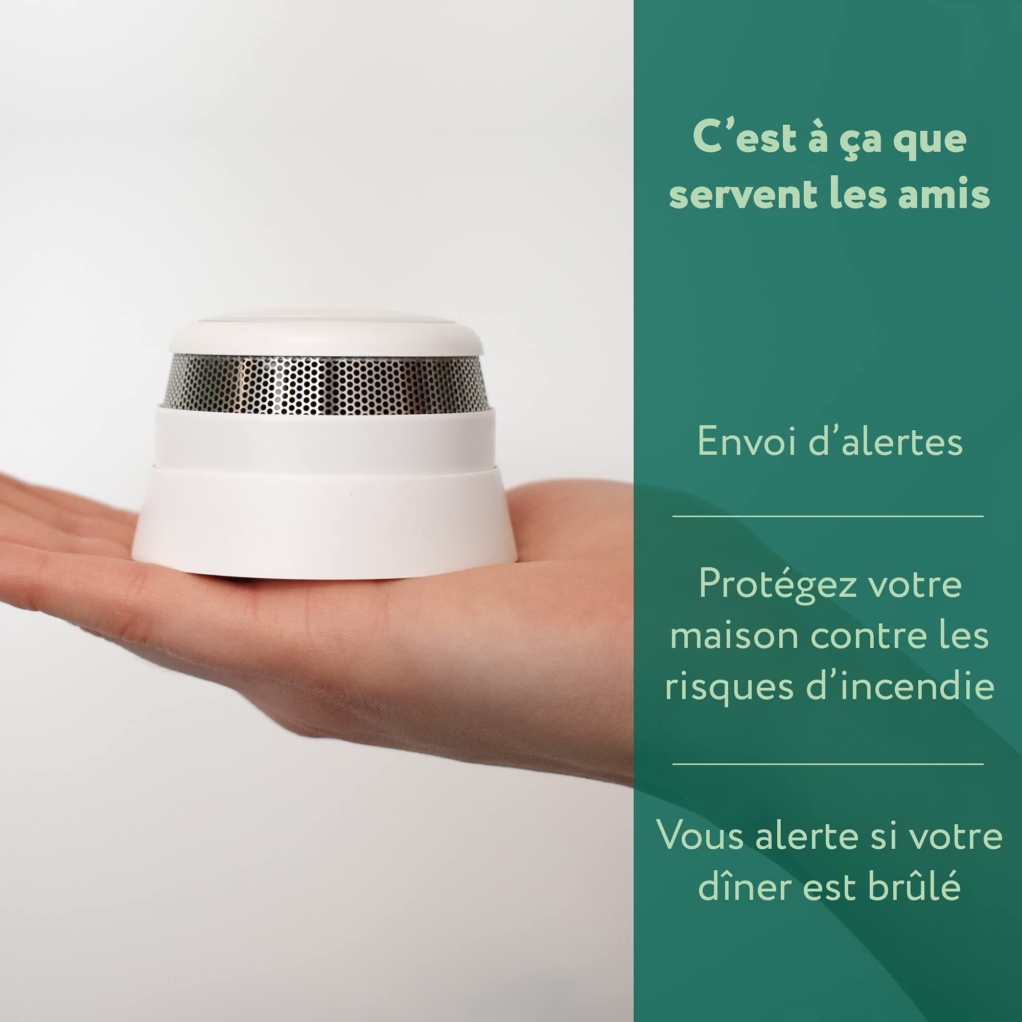 frient Alarms & Sirens détecteur de fumée Zigbee sans fil