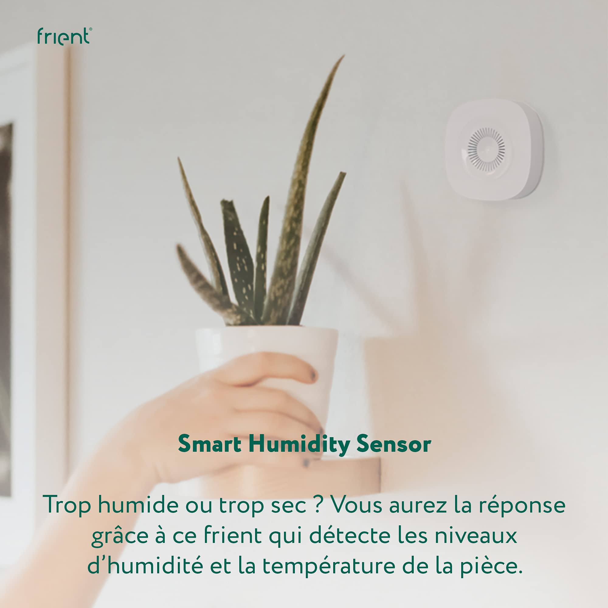 frient Smart Humidity Sensor capteur humidité Zigbee piles