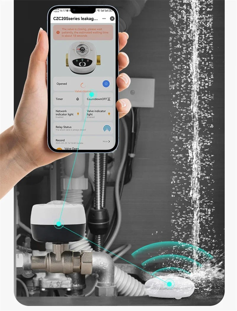Mumubiz Tuya Smart Home vanne eau gaz WiFi DN15 vocale