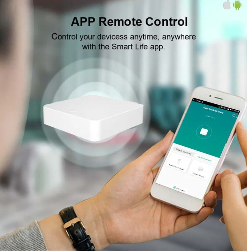 Mumubiz Zigbee Protocol passerelle hub Zigbee 3.0 LAN Alexa