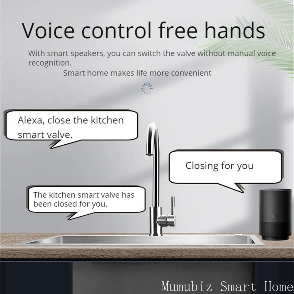 Mumubiz eWelink vanne connectée WiFi DN15 eau gaz Alexa