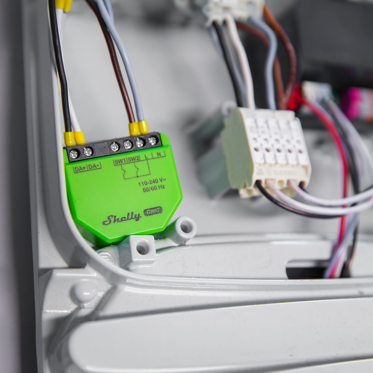 Shelly Gen3 DALI Dimmer variateur lumière DALI contrôle luminosité