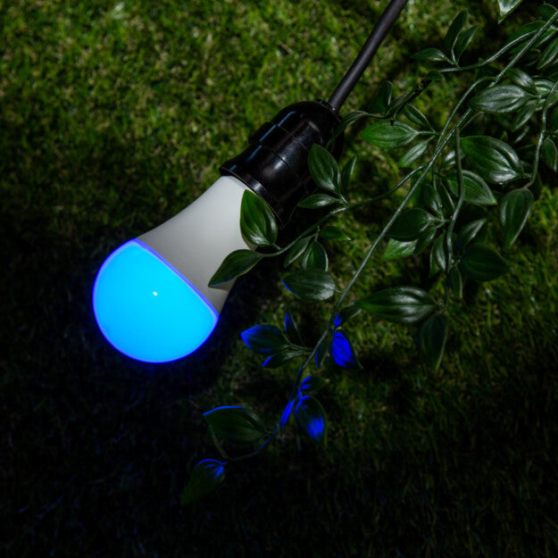Shelly Duo RGBW ampoule connectée E27 couleur
