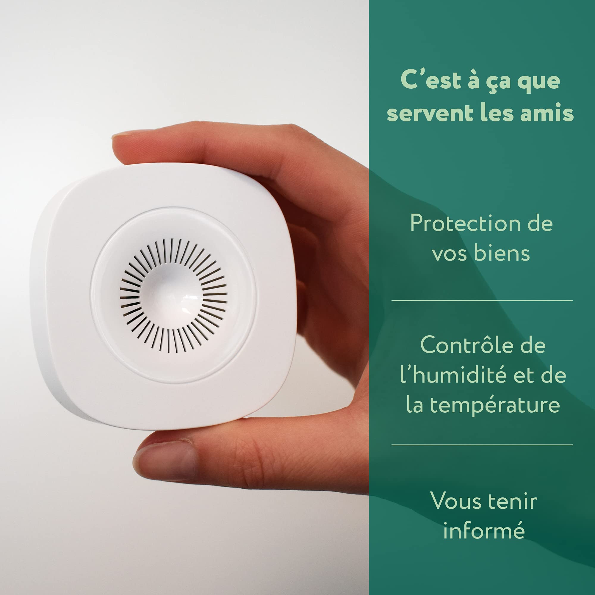 frient Smart Humidity Sensor capteur humidité Zigbee piles