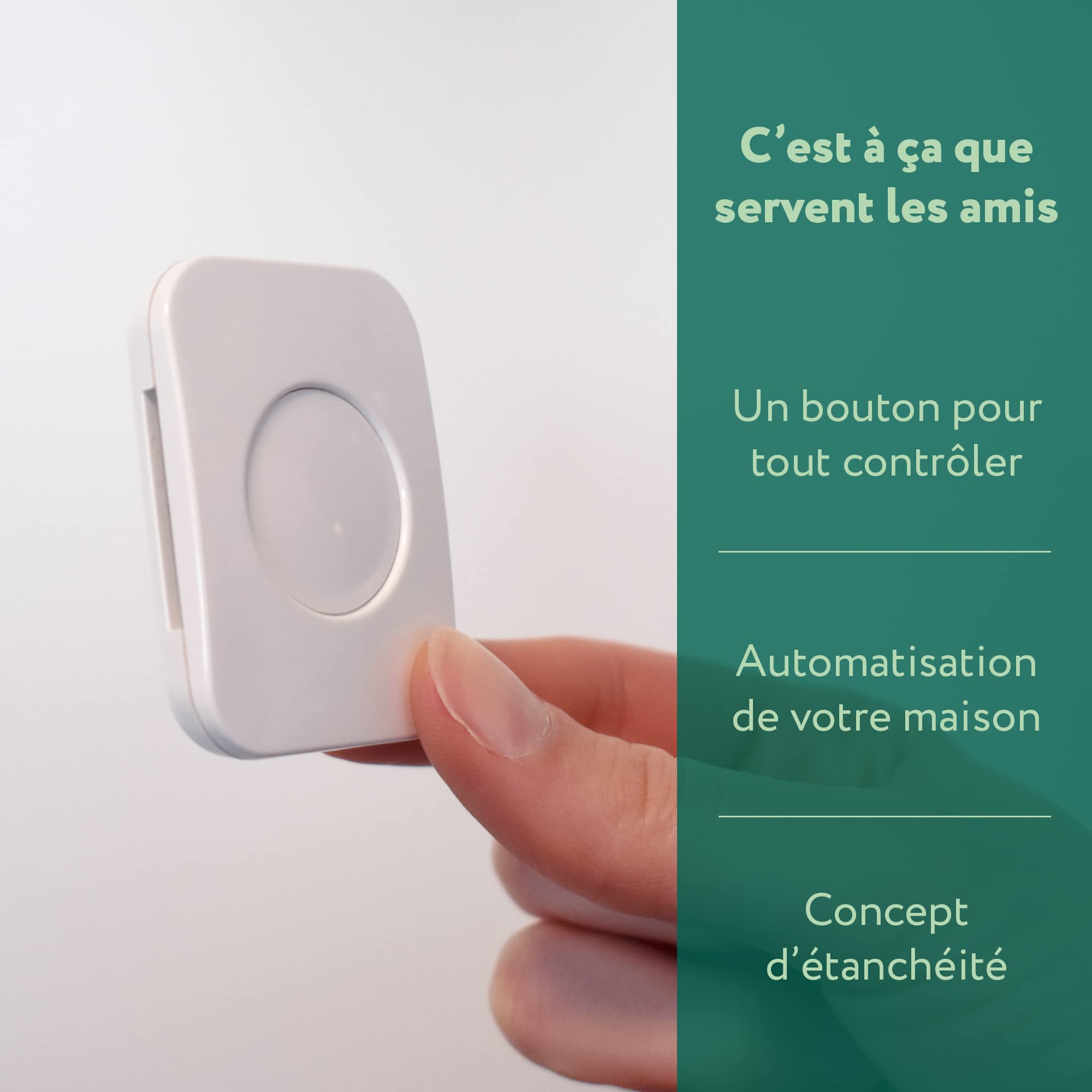 frient Smart Buttons Smart Button bouton Zigbee IP65