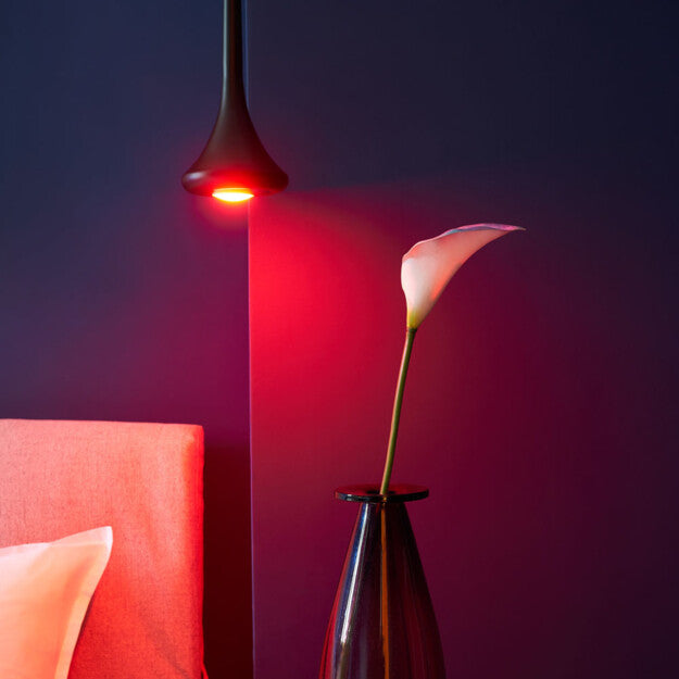 Shelly Duo ampoule GU10 RGBW dimmable WiFi