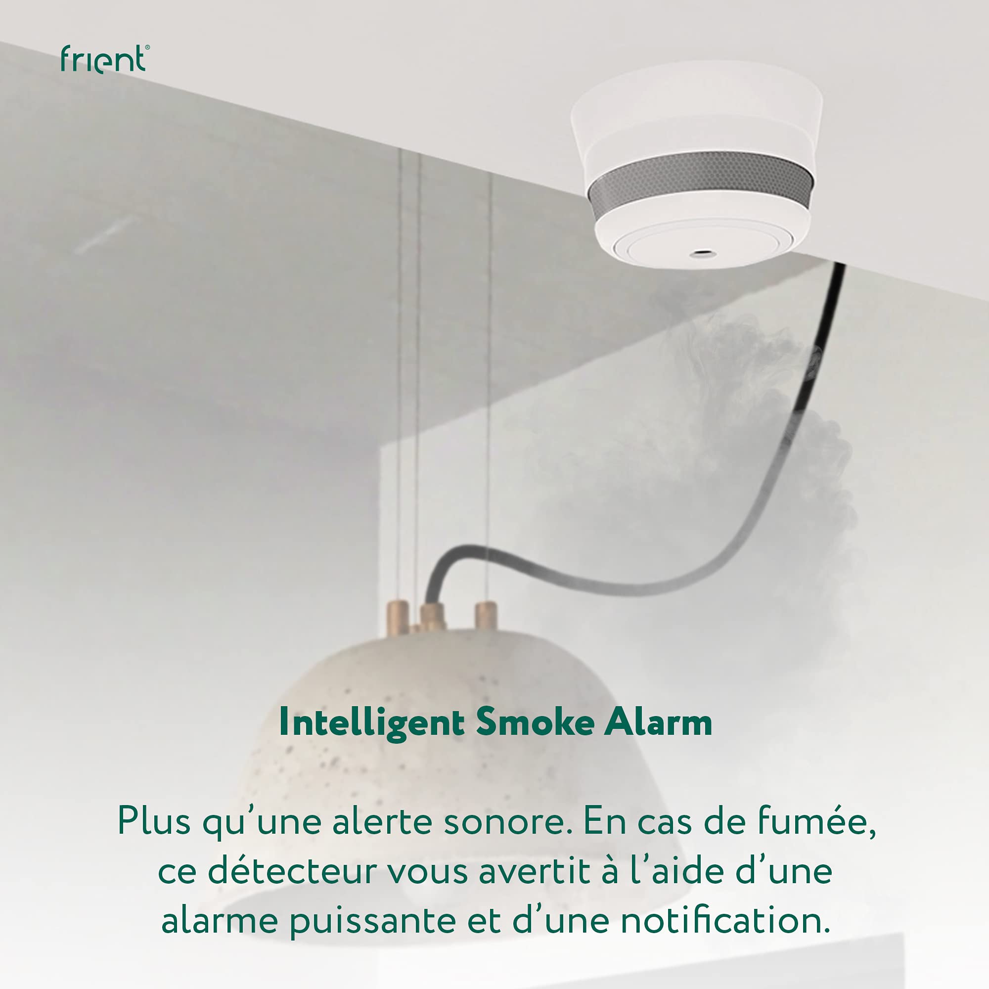 frient Alarms & Sirens détecteur de fumée Zigbee sans fil