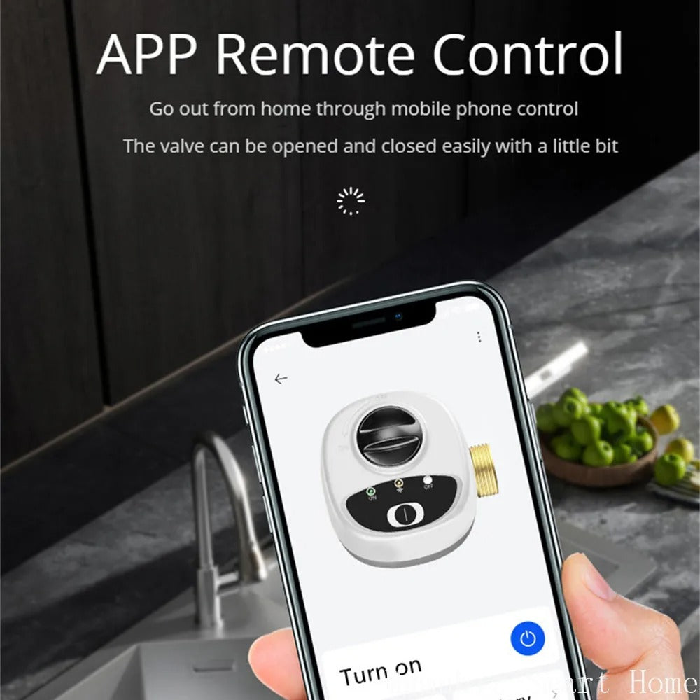 Mumubiz eWelink vanne connectée WiFi DN15 eau gaz Alexa