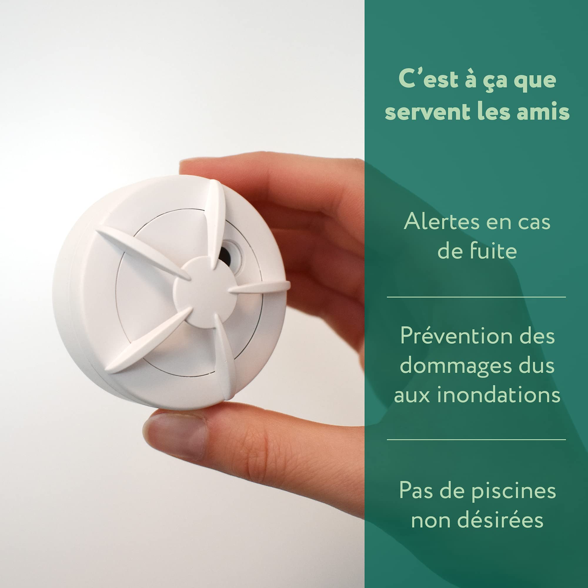 frient Détecteur Fuite Eau Zigbee alarme inondation température